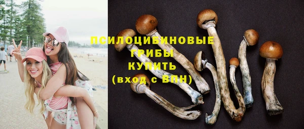 трава Магадан